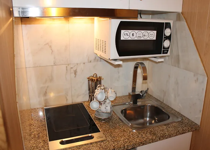 Konukevi Monte Carlo 3*